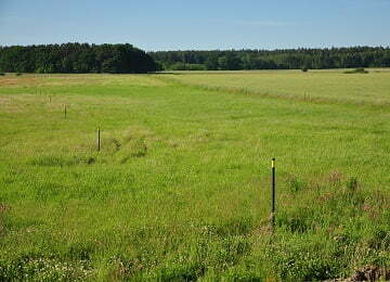 Ostoja Wytowno k. Ustki